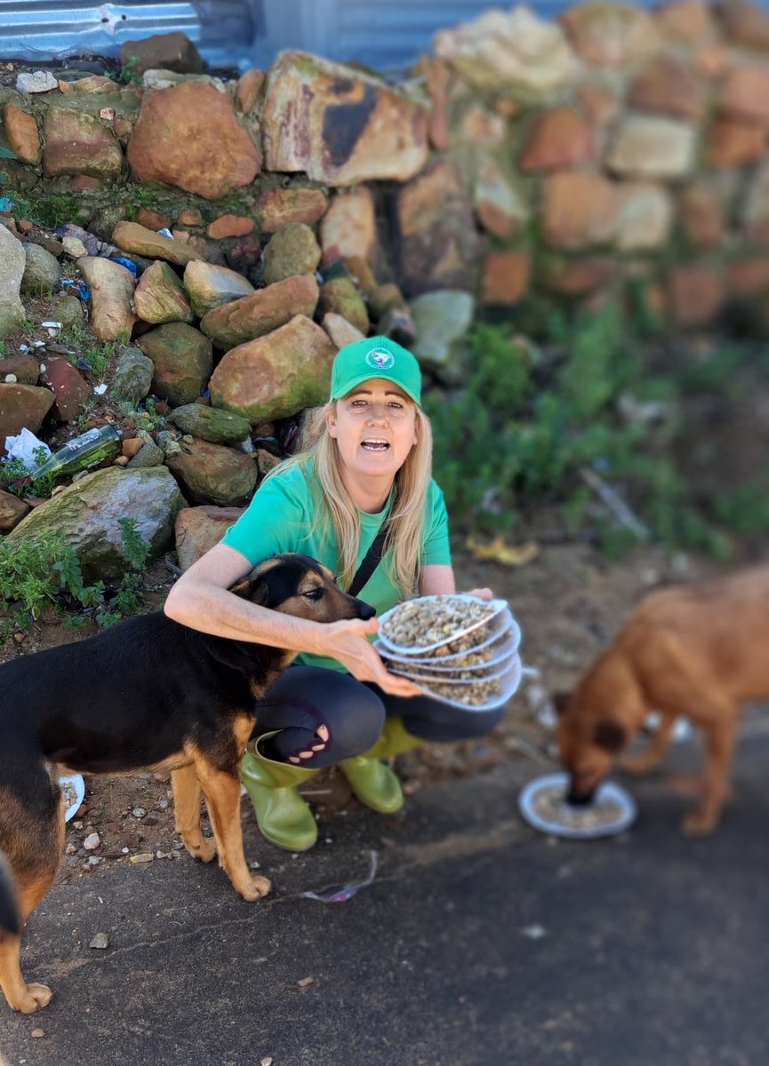 lolsielove's tweet image. Just finished with our feeding today. Sadly,we didn’t have enough food to give to the owners for the rest of the week, but every single cat and dog got a proper meal today, and that’s matters most.
Thank you to everyone who supports us, we’ll keep doing our best with what we have