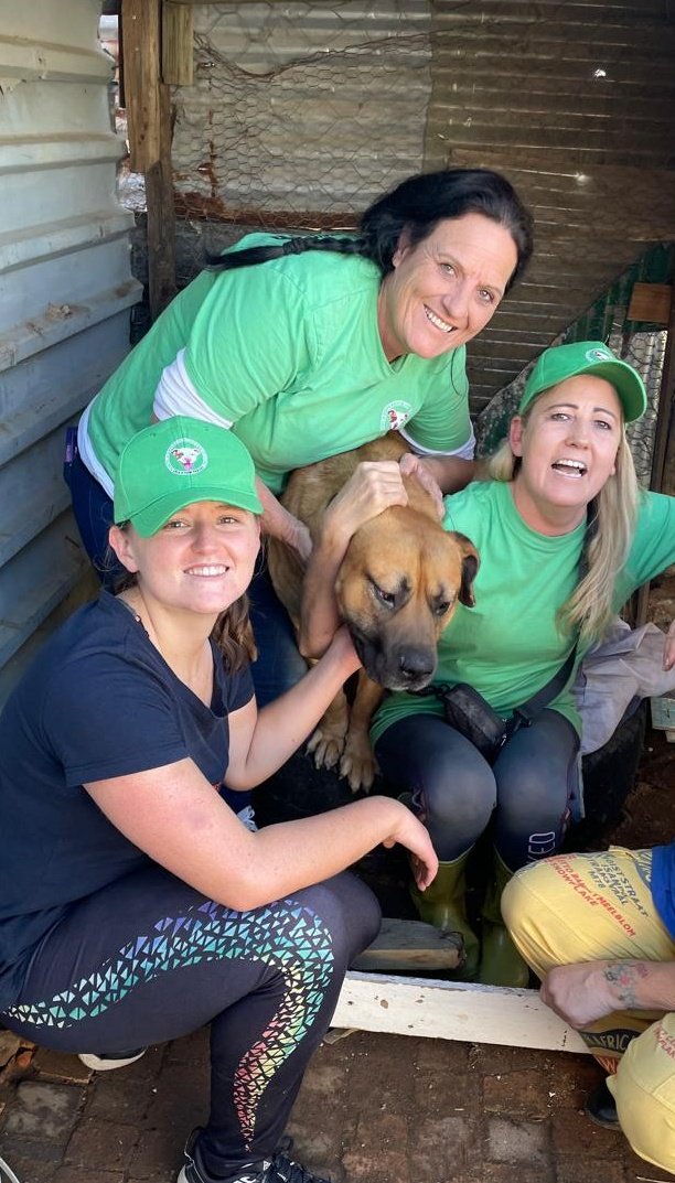 lolsielove's tweet image. Just finished with our feeding today. Sadly,we didn’t have enough food to give to the owners for the rest of the week, but every single cat and dog got a proper meal today, and that’s matters most.
Thank you to everyone who supports us, we’ll keep doing our best with what we have