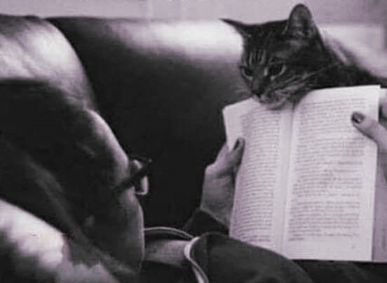 SexxxoSentido's tweet image. &quot;A veces los poemas 
no son palabras,
son almas&quot; ❤😽
#ApetitoTextual