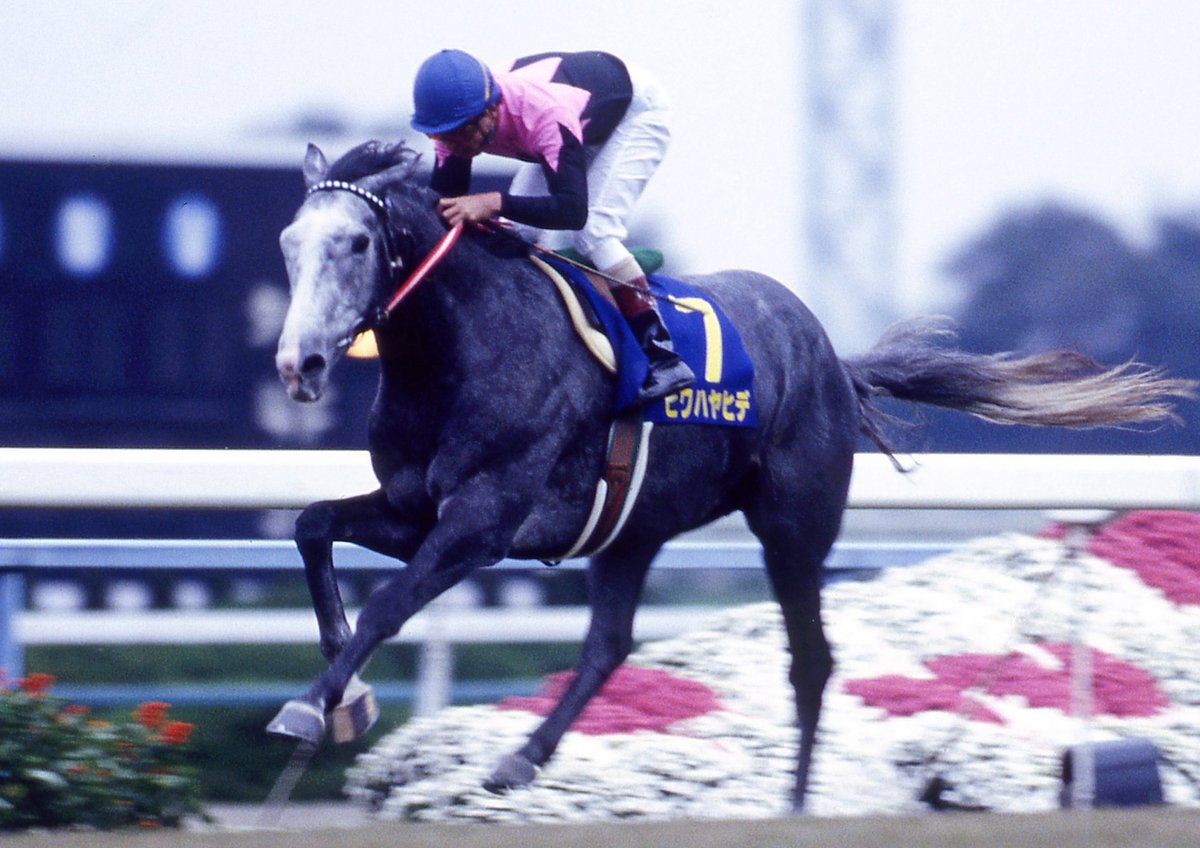 JRAVAN_info's tweet image. #ビワハヤヒデ が亡くなってから今日で5年になります。1993年のクラシックではナリタタイシン、ウイニングチケットとともにBNWと呼ばれる三強を形成し、最後の菊花賞でGⅠ初制覇を飾り年度代表馬に選出。三強そろって30代まで長生きしました。