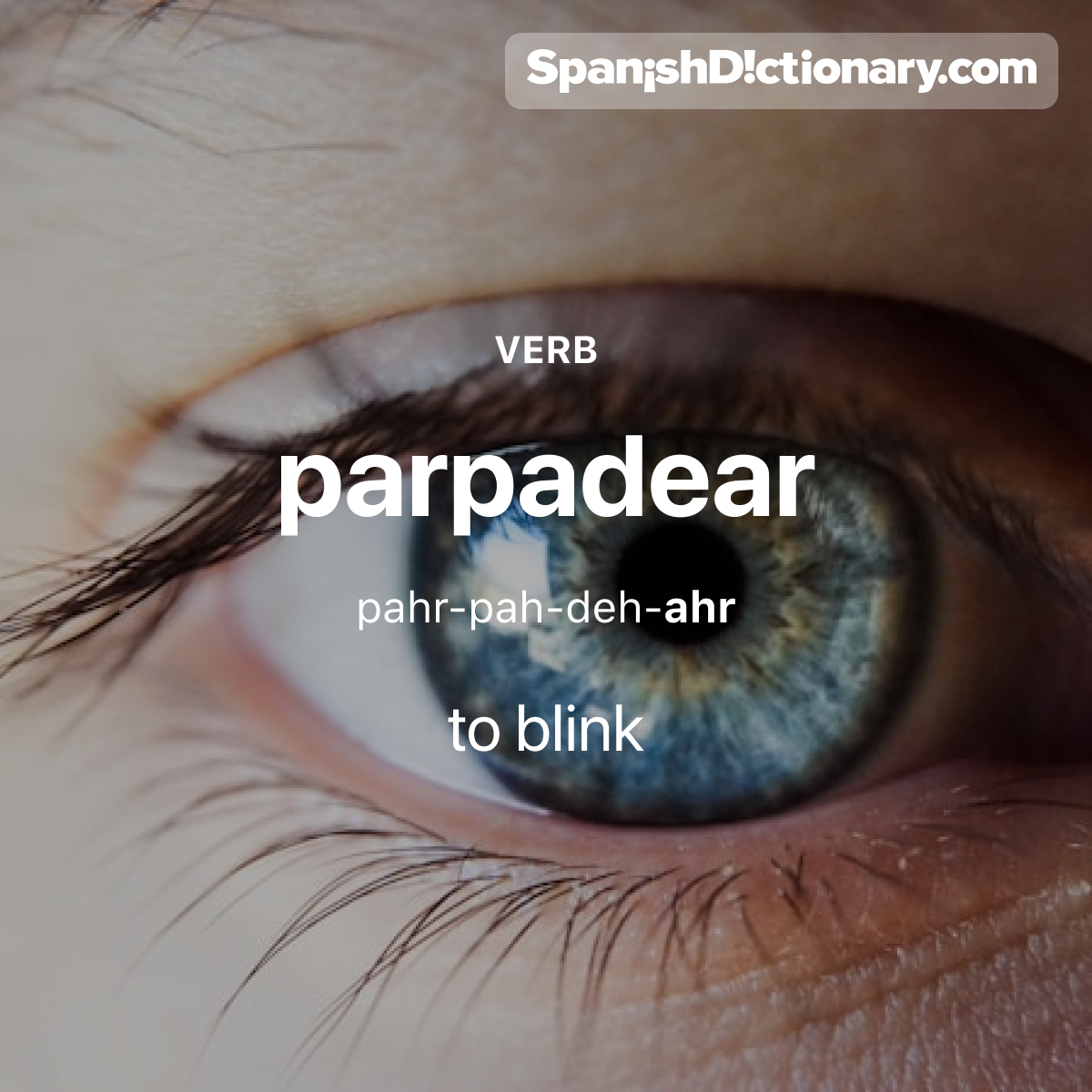 Today's #WordOfTheDay is "parpadear." 😐😌😐 For example: ¡El primero en parpadear pierde! - The first one to blink loses!
#EstudiaEspañol #StudySpanish #AprendeEspañol #LearnSpanish #Español #Spanish #LearningSpanish #PalabraDelDia