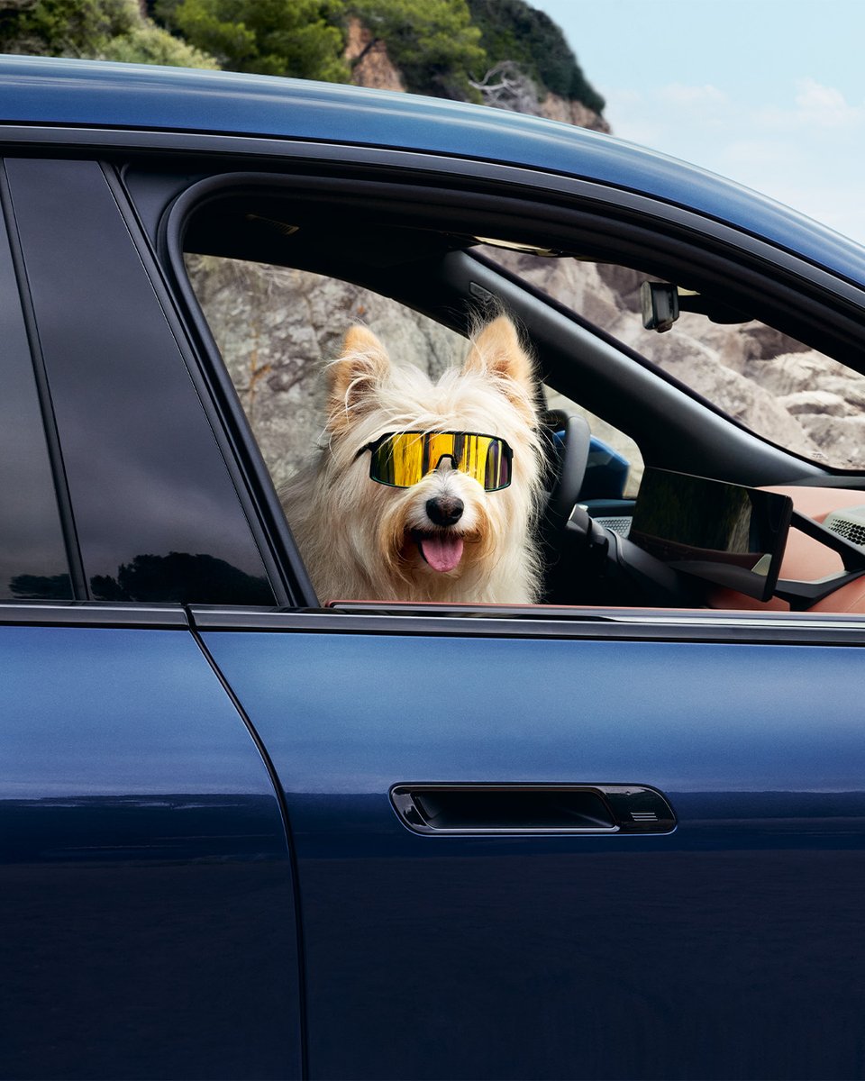 BMW México tweet media