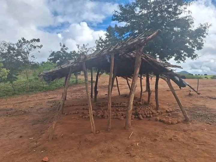 SamNavaya's tweet image. The current primary schools koma manifesto inayake uku yati zimbudzi zogejemula ponseponse 😂🤣