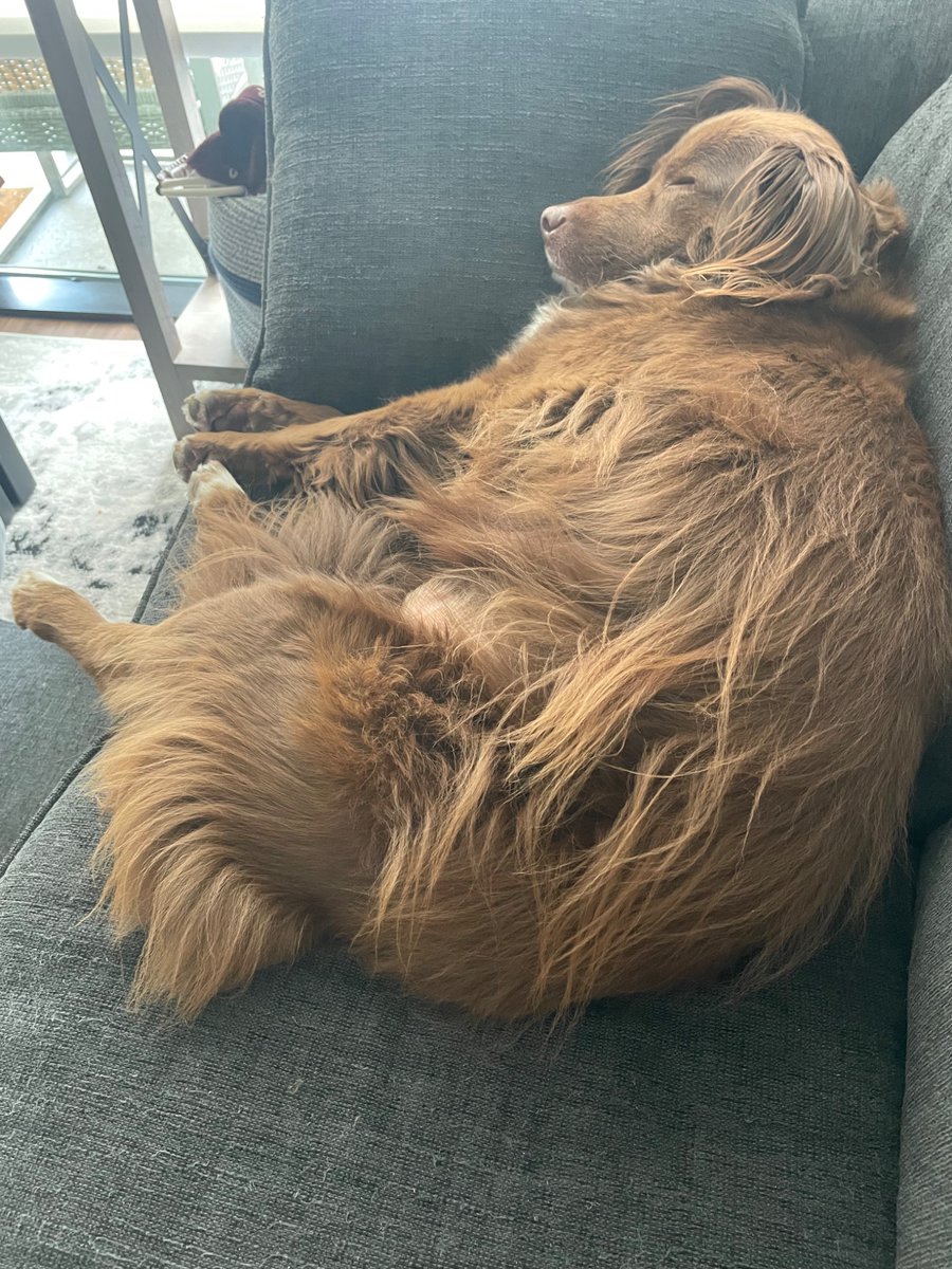 Sunday naps hit
