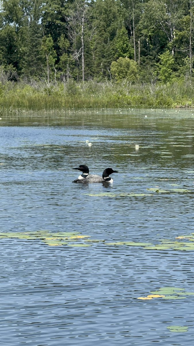 EdwinYoder45's tweet image. #exploremichigan get away from the daily grind is refreshing