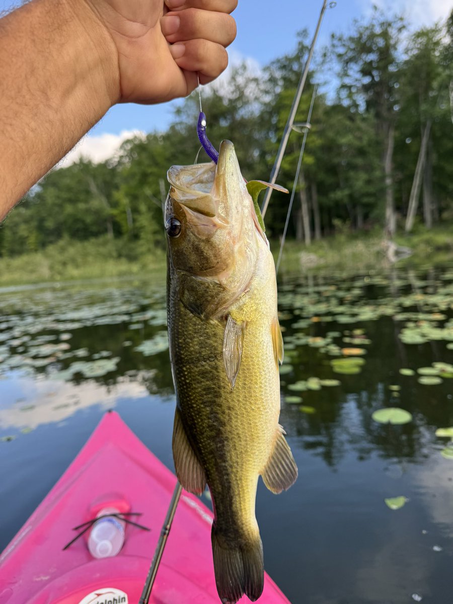 EdwinYoder45's tweet image. #exploremichigan get away from the daily grind is refreshing