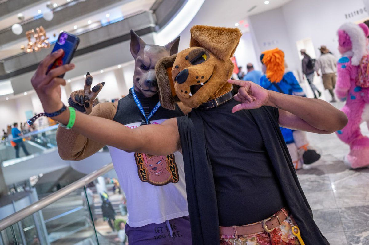 cainenines's tweet image. Good boys do it better

With @Picogobark at @FurryWeekend

#furry #fursuit #puppy #dog #xolo #fwa #FWA25
