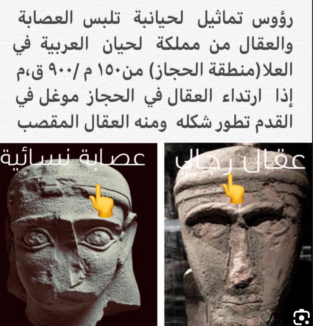 🇸🇦 tweet media