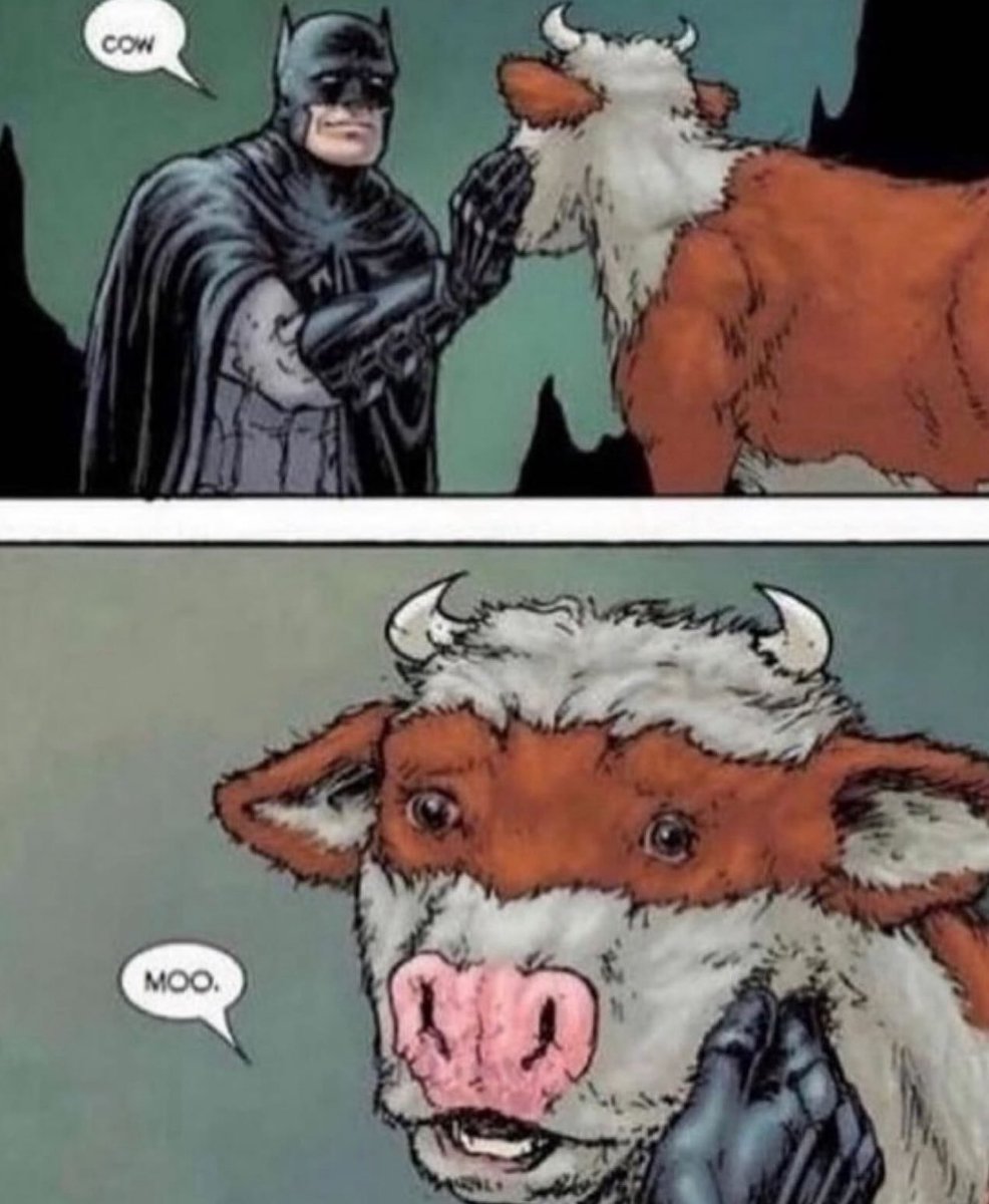 localmemeaddict's tweet image. 