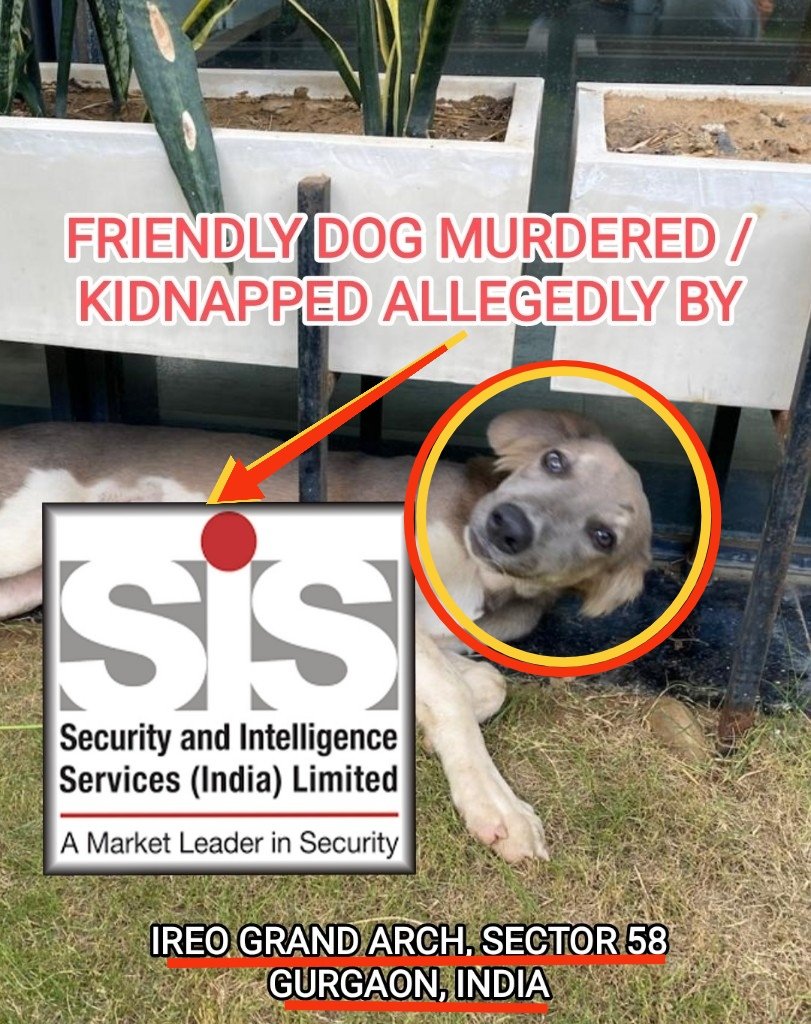Ajay Joe (@joedelhi) on Twitter photo Hello <a href="/SisEnterprises/">SISGroupEnterprises</a>
Your proud employees of SIS Security at Ireo Grand Arch, Sector 58, Gurgaon, accused of тАФ relocated/murdered this friendly community dog & are concealing dog/body
Better ask them to co-operate or face consequences !
<a href="/GPTW_India/">Great Place To Work India</a>
x.com/hmkamath/statuтАж Hello <a href="/SisEnterprises/">SISGroupEnterprises</a>
Your proud employees of SIS Security at Ireo Grand Arch, Sector 58, Gurgaon, accused of тАФ relocated/murdered this friendly community dog & are concealing dog/body
Better ask them to co-operate or face consequences !
<a href="/GPTW_India/">Great Place To Work India</a>
x.com/hmkamath/statuтАж