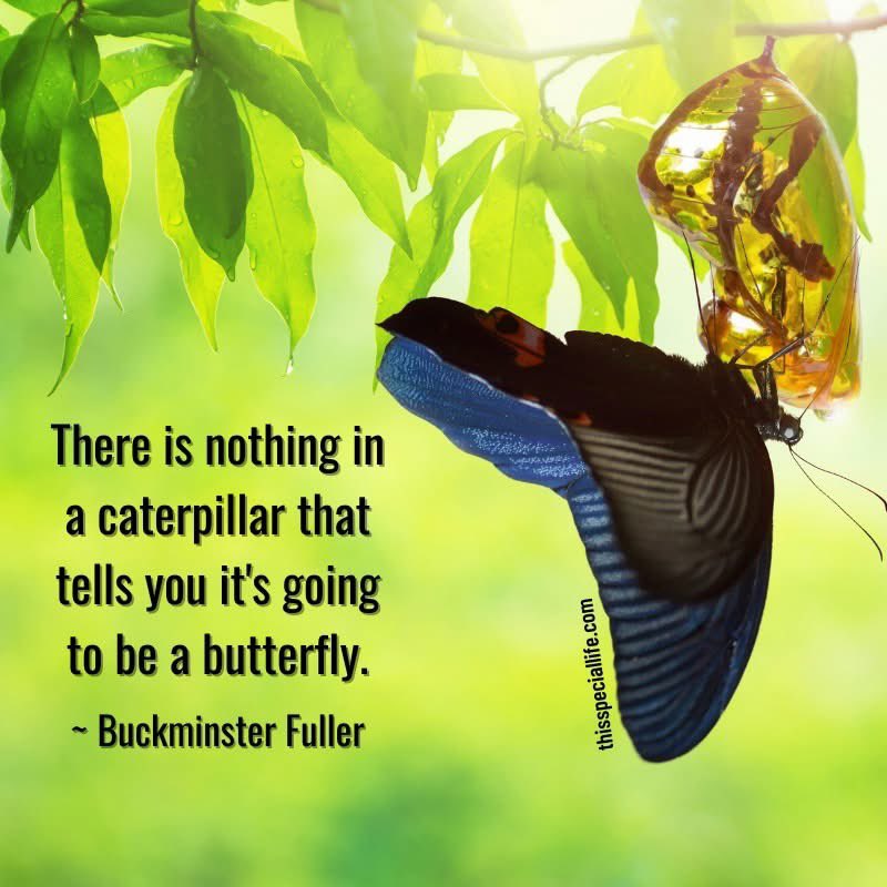 _JanetTaylor's tweet image. Some light takes time to rise. ✨