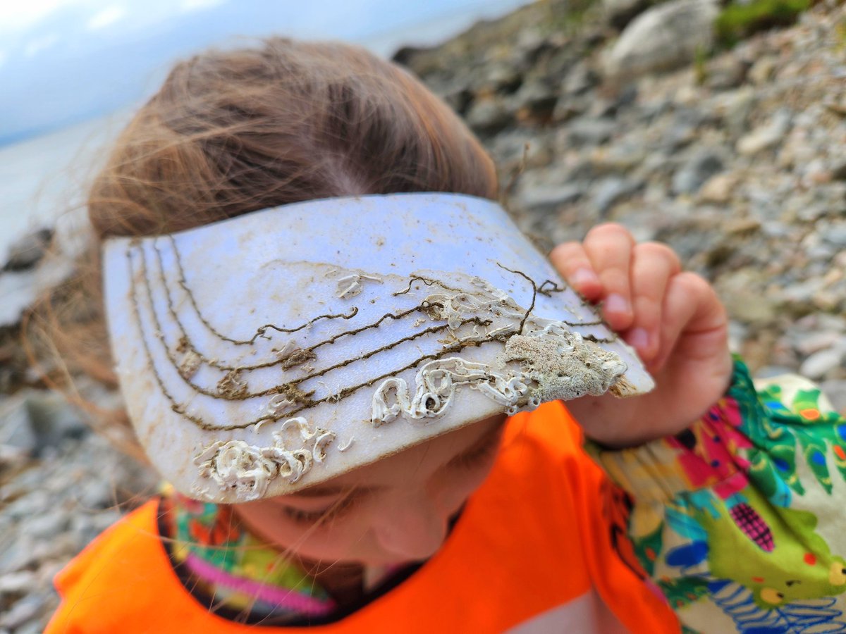 Keelworm on an old visor
#BeachClean #CleanCoasts #LeaveNoTrace