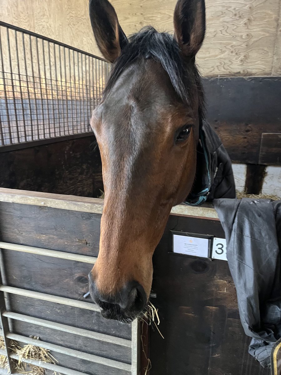 John Ydlibi (@jarydlibi) on Twitter photo Good luck to Mr Sundancer who runs on Monday <a href="/Cartmelrace/">Cartmel Racecourse</a> at 13.42pm for <a href="/URSAMAJORRACING/">Ursa Major Racing Ltd</a> <a href="/mwalfordracing/">Mark Walford</a> . Ground probably will be a bit soft for him tomorrow, but looking for an improved performance Good luck to Mr Sundancer who runs on Monday <a href="/Cartmelrace/">Cartmel Racecourse</a> at 13.42pm for <a href="/URSAMAJORRACING/">Ursa Major Racing Ltd</a> <a href="/mwalfordracing/">Mark Walford</a> . Ground probably will be a bit soft for him tomorrow, but looking for an improved performance