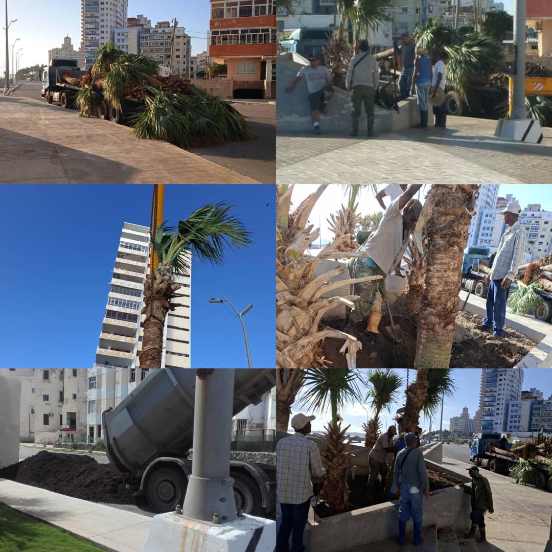 Se trabaja sin perder un segundo, en la reparación y mantenimiento de la Tribuna Antiimperialista José Martí en #LaHabanaDeTodos.
#LaHabanaViveEnMí 
#CubaEstáFirme