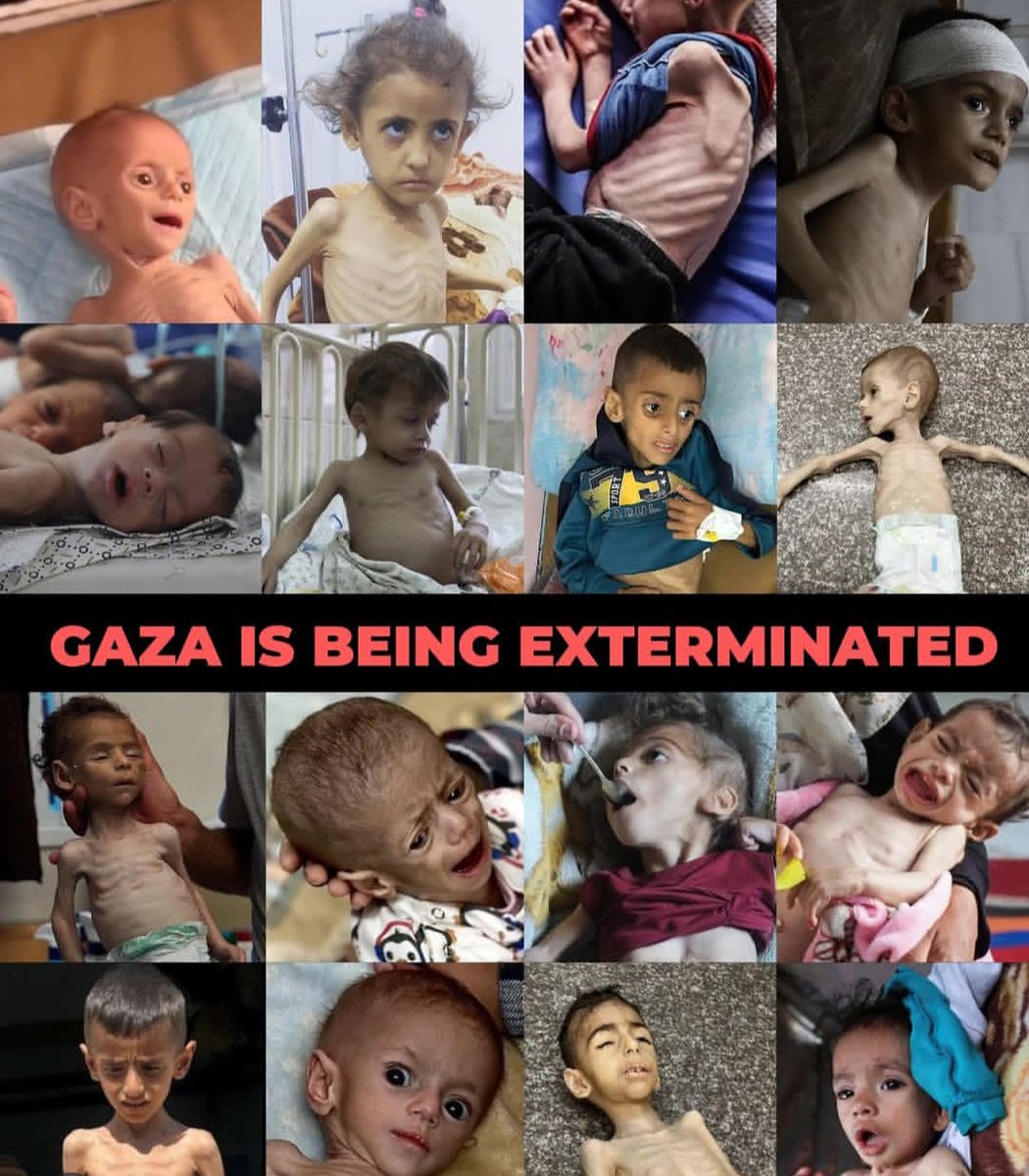 MFamily18470's tweet image. Look, famine is eating away at our children's bodies😭.
If you see this picture, don't scroll🙏. Leave a dot or at least the flag of your country🍉
gofund.me/bc9ef789