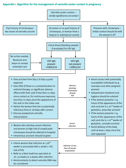 AliSMV7's tweet image. Algorithm for the management of varicella-zoster contact in pregnancy
rcog.org.uk/media/1vtnn25h…