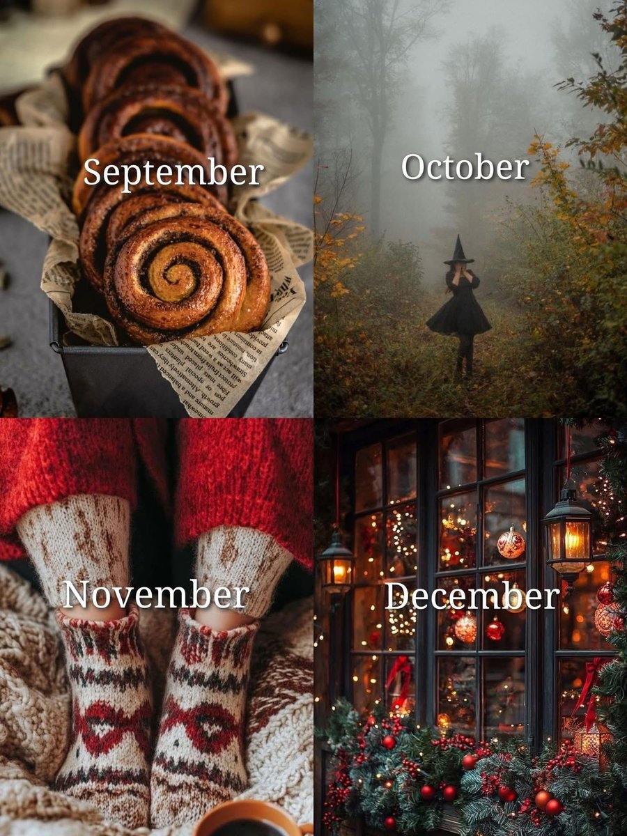 emhoneyreads's tweet image. Summer is great &amp;amp; all, but nothing beats the ‘ber months ♥️