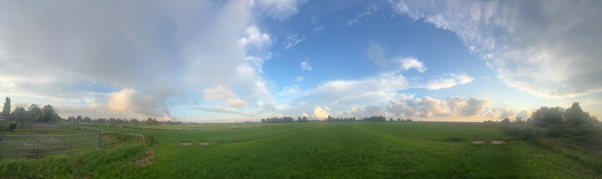 ronaldvanzijl's tweet image. 20/07/2025 – NL – Skyscapes
21:00 h
@Demo2020cracy @Elizabe32413720 @TexMericana @Raggedyedge1 @DELTA9_DELTA9 @BenKnight1980 @druid10 @IonisedSkyWatch @Clearskiesinit @SaskiaHeijden @ImagesCoast @OpChemtrails @Chemtrail101 @SergeLBrown @LegendreKristy @nogps1