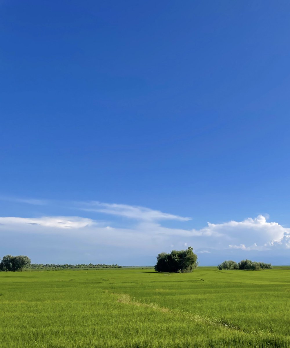 far_has25's tweet image. 