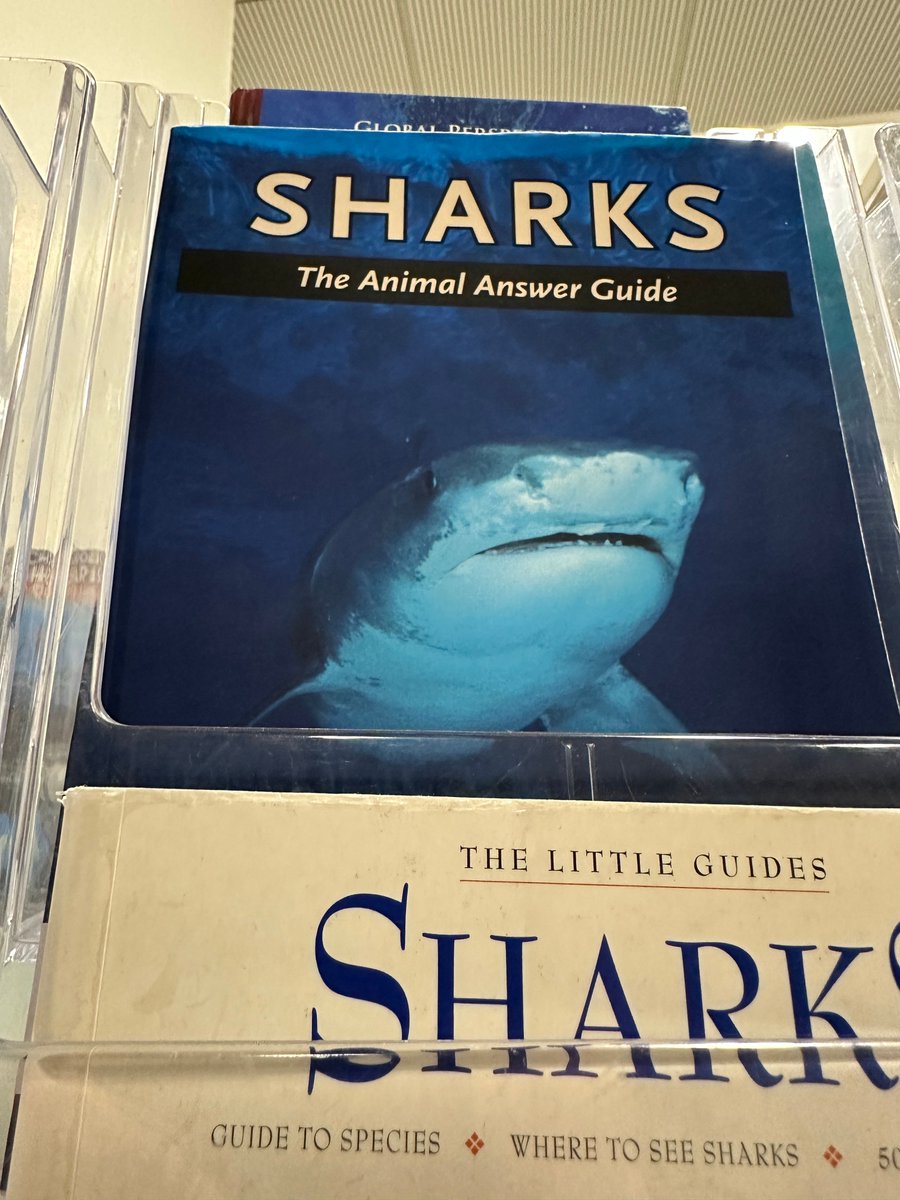 sbulibraries's tweet image. Shark Week starts today! Prepare yourself by consulting our new display featuring books, videos, and jaw-dropping facts about the ocean’s most iconic predator. And pick up a free bookmark!

#SharkWeek #LibraryDisplays