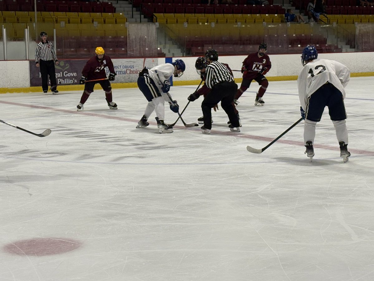 Hockey NL tweet media