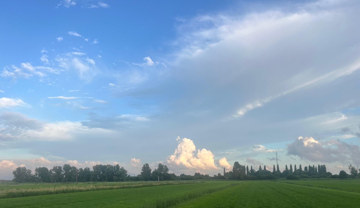 ronaldvanzijl's tweet image. 20/07/2025 – NL – Skyscapes
21:15 h
@Demo2020cracy @Elizabe32413720 @TexMericana @Raggedyedge1 @DELTA9_DELTA9 @BenKnight1980 @druid10 @IonisedSkyWatch @Clearskiesinit @SaskiaHeijden @ImagesCoast @OpChemtrails @Chemtrail101 @LegendreKristy @nogps1