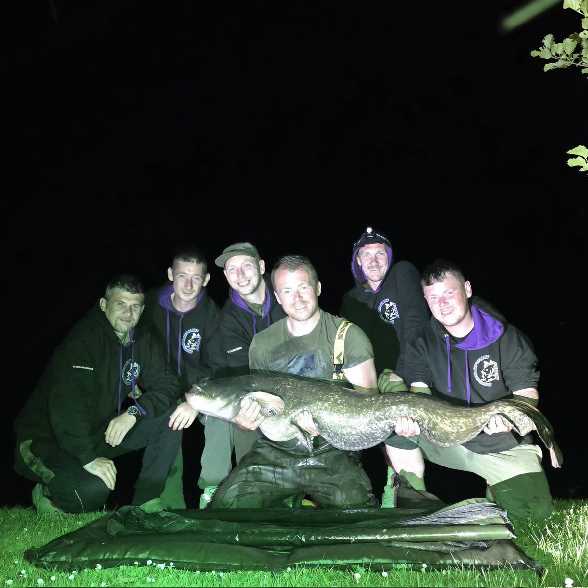 Sonny Gallacher (@sonnygall) on Twitter photo 