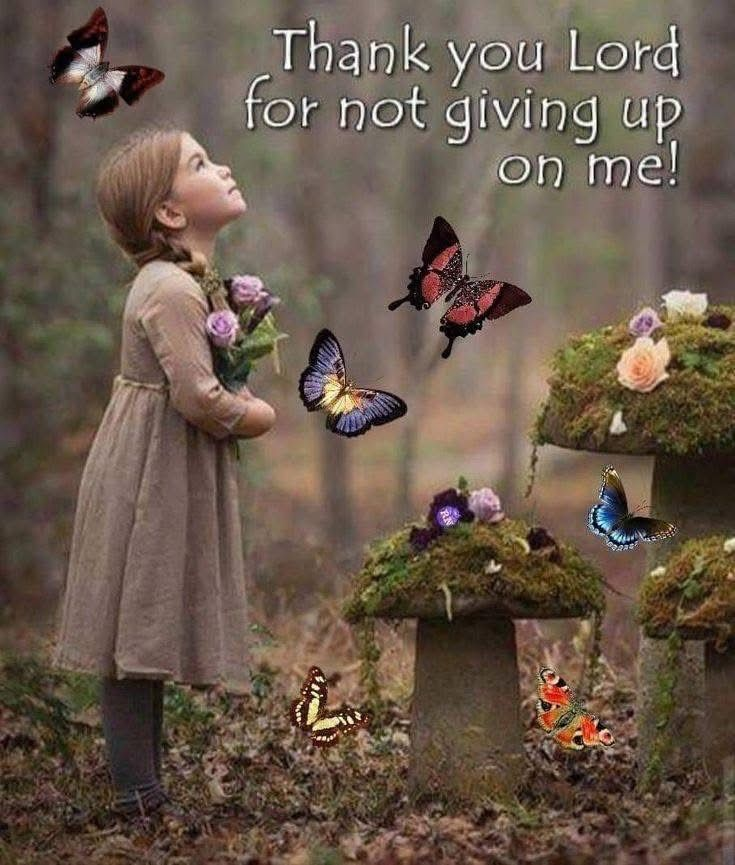 JulieParker144's tweet image. ✝️ Paul’s Warning:
Paul prophesied that two kinds of dangers would corrupt the true church:

Grievous wolves — false teachers from outside.

Men from among you — leaders from within the church who would speak perverse things (twisted doctrine) to lead believers astray. #Sects