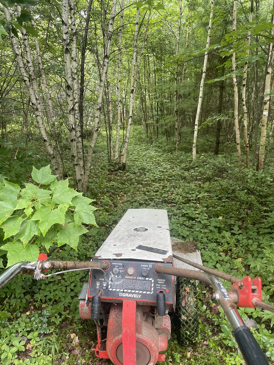 rednecksluttt's tweet image. i live to mow