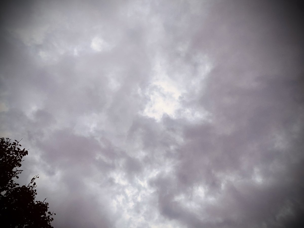haiku366's tweet image. british summer rain
i confessed in the downpour
you already knew