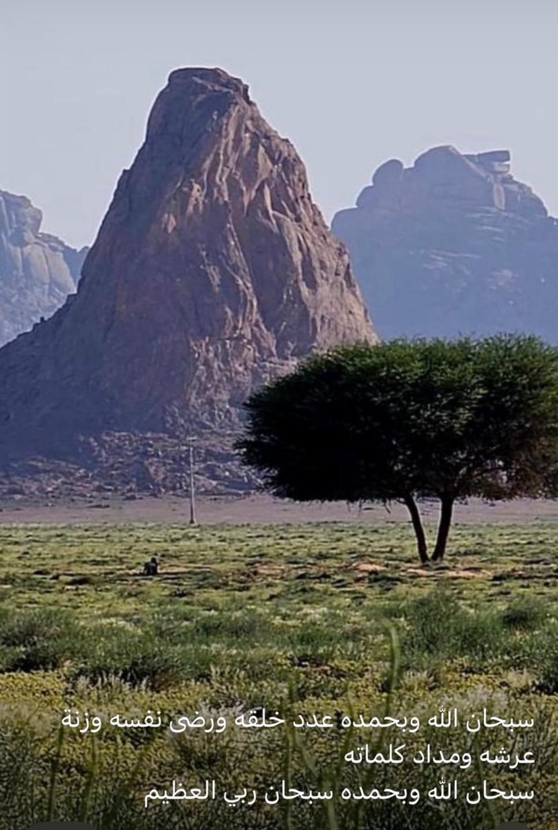 اللهم صلى وسلم وبارك على الحبيب رسول الله محمد عدد ماذكره الذاكرون وغفل عنه الغافلون وعدد خلقه ورضا نفسه وزنه عرشه ومداد كلماته.