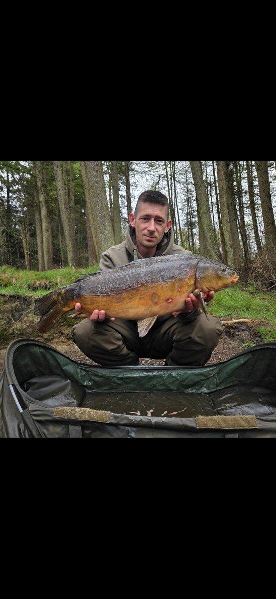 Sonny Gallacher (@sonnygall) on Twitter photo 