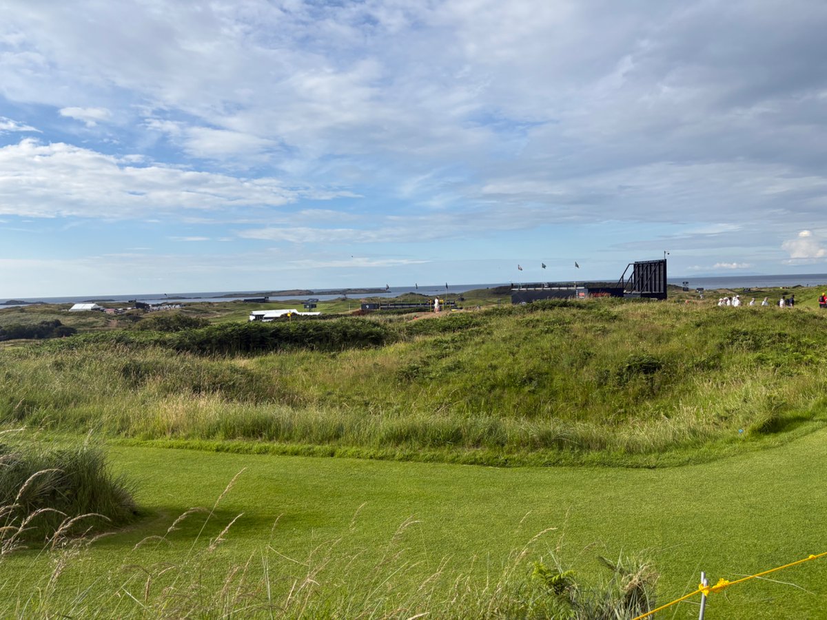 Steffan Segui tweet media