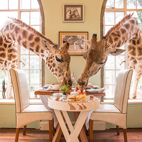 David Plaza tweet media