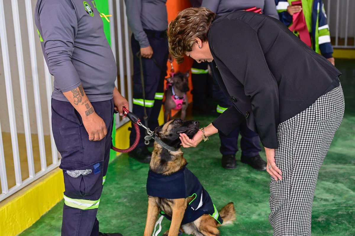 Cada tercer domingo de julio conmemoramos del Día Mundial del Perro, seres que no tienen voz pero que tienen sus propias formas de expresar amor y cariño.
En el Estado de México, promovemos la adopción responsable mediante #LaMejorJugadaEsAdoptar y avanzamos en materia de