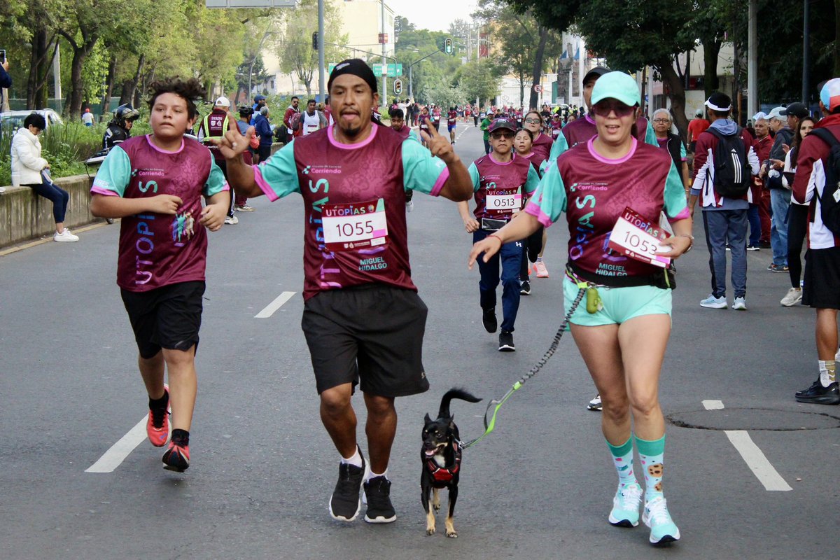 SECTEI CDMX (@sectei_cdmx) on Twitter photo ¡Se llevó a cabo la carrera #CorriendoUtopías en la Alcaldía Miguel Hidalgo!
Nuestro titular, <a href="/PabloYanesRizo/">Pablo Yanes</a>, dio el banderazo de salida en esta carrera de 5 kilómetros en la que participaron cerca de 1,800 personas. En la <a href="/AlcaldiaMHmx/">Alcaldía Miguel Hidalgo</a> se construirá la #UTOPÍAJuventud, que ¡Se llevó a cabo la carrera #CorriendoUtopías en la Alcaldía Miguel Hidalgo!
Nuestro titular, <a href="/PabloYanesRizo/">Pablo Yanes</a>, dio el banderazo de salida en esta carrera de 5 kilómetros en la que participaron cerca de 1,800 personas. En la <a href="/AlcaldiaMHmx/">Alcaldía Miguel Hidalgo</a> se construirá la #UTOPÍAJuventud, que
