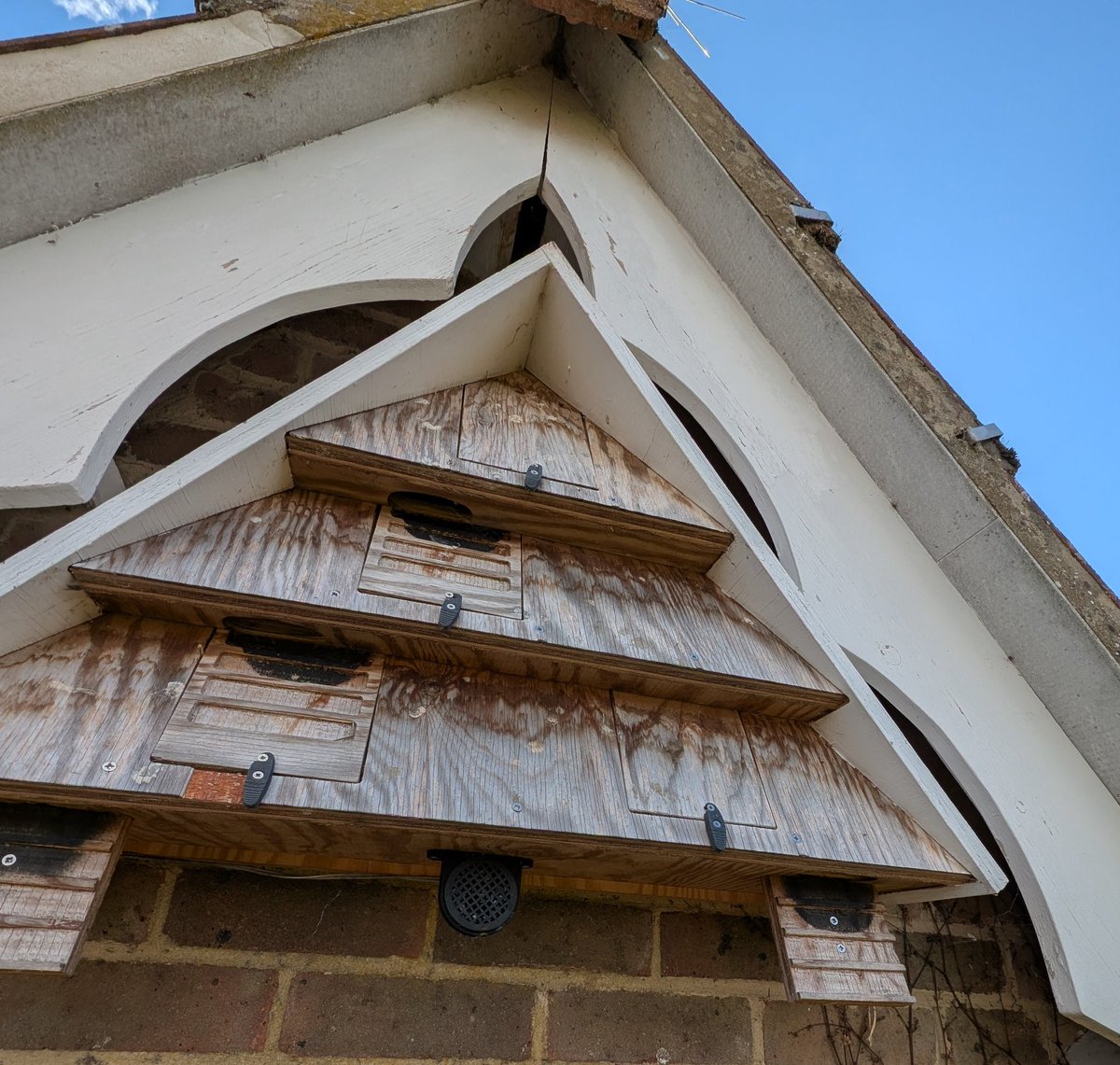 mattthesparrow's tweet image. A special moment today. This is the first Swift nestling ringed from a nest box in Wiltshire. The box was put up by a pair of neighbours and they plan to put up more around the village. We will definitely be copying this box design in our future work.