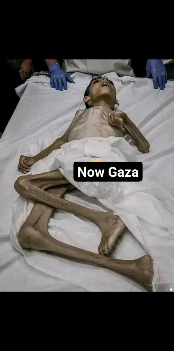 اور اس ہماری قوم کو تکبر ہے کہ ہم مسلمان ہیں بخشے بخشائے ہیں سیدھا جنت میں جائیں گے۔۔۔ 
جہنم کے بدترین درجے میں جلائے جائیں گے یہ سب جنہوں نے اہل فلسطین کو تنہا چھوڑ دیا۔‌
جہاد کے وقت جہاد کی مدد نہ کرنے والے بدترین منافق ہوتے ہیں عبداللہ بن ابی جیسے۔۔
پاکستان میں جس کا زیادہ