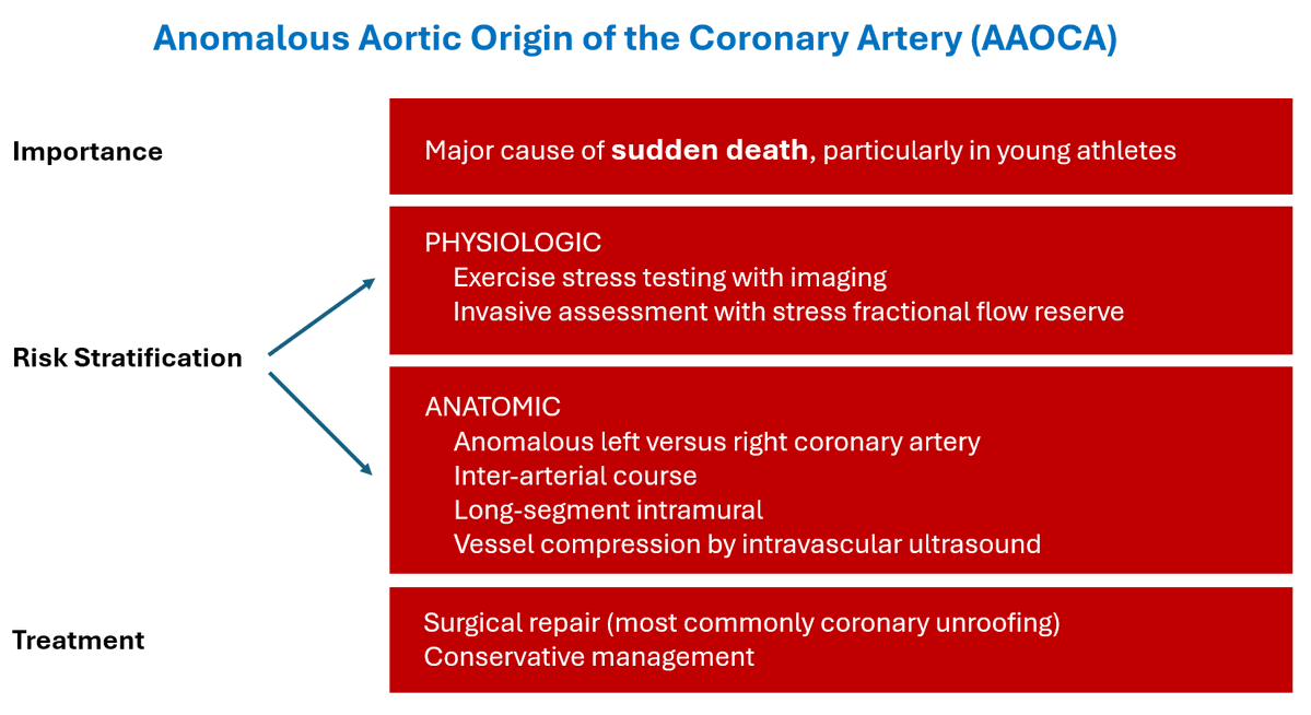 Anomalous aortic origin of the coronary arteries is a rare but important cause of sudden cardiac death, particularly in young athletes.

Get the full expert analysis now 👉 bit.ly/40pJsqe #cvCAD