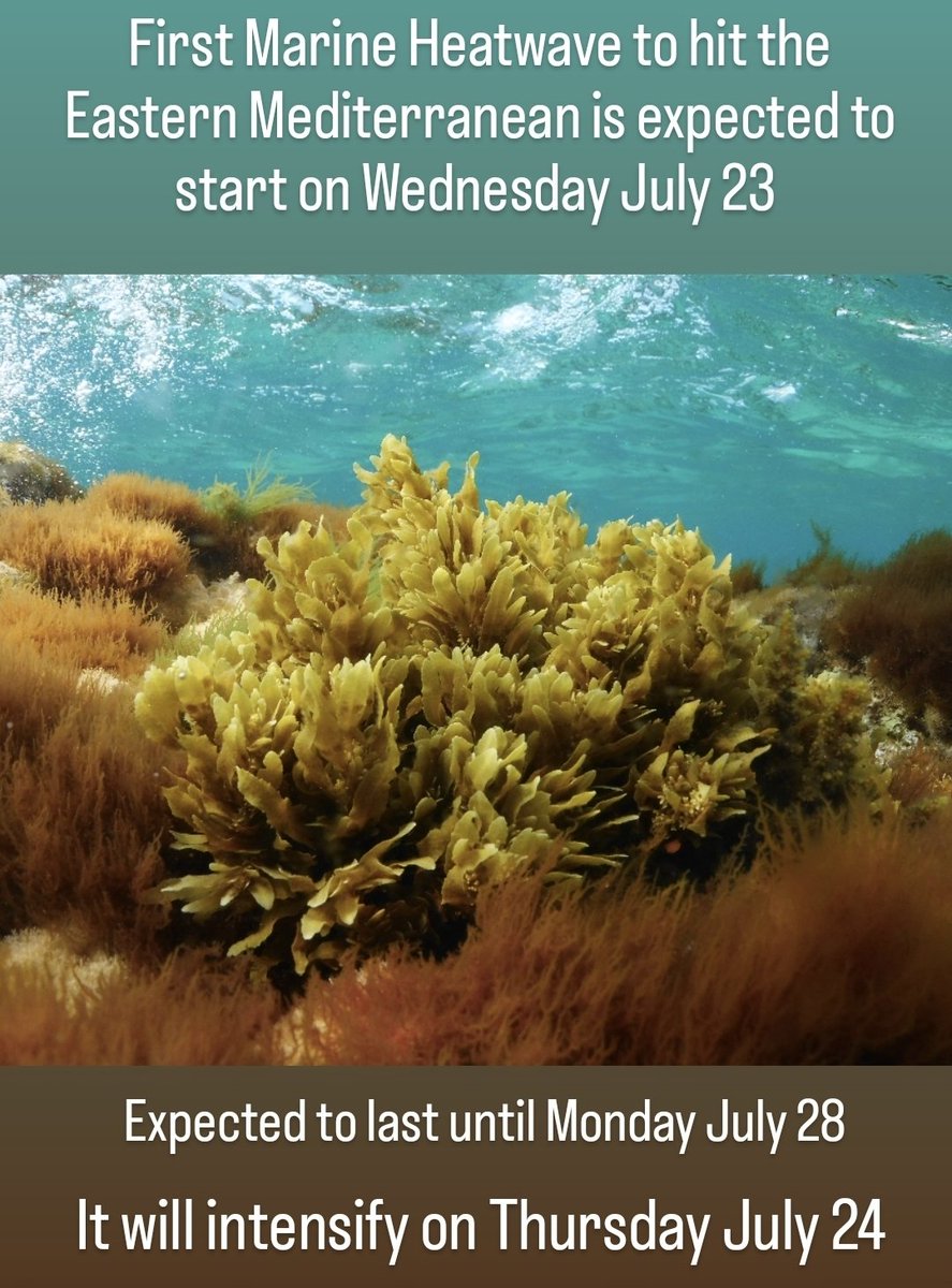 Marine Heatwave forecasted for the Eastern Mediterranean starting Wednesday July 23 / #marine #Forecast #meteorology #ichalhoub #ibrahimchalhoub #Lebanon
