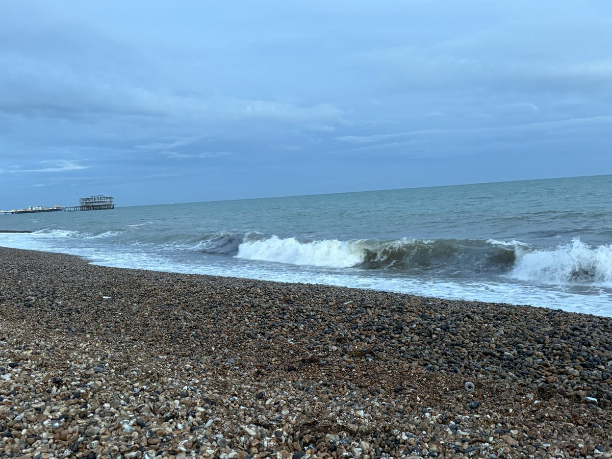 jhallwood's tweet image. A bit choppy but so nice to have an evening swim, riding the waves, with Ella as our respective other halves showed bemusement rather than enthusiasm at the prospect of joining us!