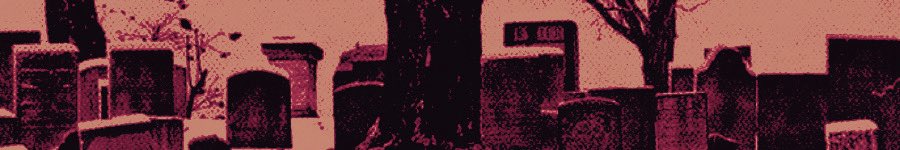 clementaide's tweet image. 