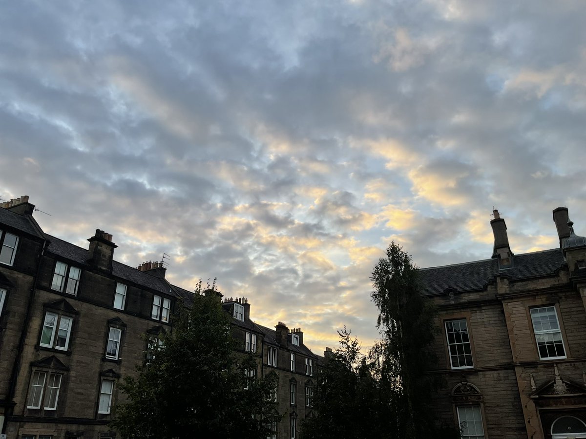 PotterVillamil's tweet image. dappled sky
