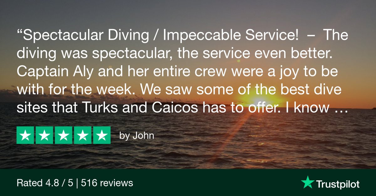Wall dives, sharks, and up to 5 dives a day? Yes, please. 🙌 Turks &amp; Caicos Explorer II delivers epic underwater action—and service that’s just as impressive.

That French Cay night dive? Still dreaming about it. 🌙✨🔗 explorerventures.com
#DiveTurksAndCaicos #LiveaboardLife
