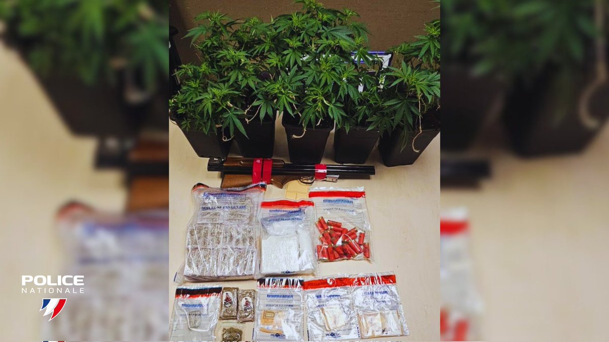 PoliceNationale's tweet image. #Antistup | Dimanche dernier, les policiers de la BAC de Toulon (83) ont procédé au contrôle d'un véhicule suite à une infraction au code de la route. 🚓 Ils constataient que le conducteur n'avait plus de permis de conduire valide et qu'il transportait des stupéfiants déjà…
