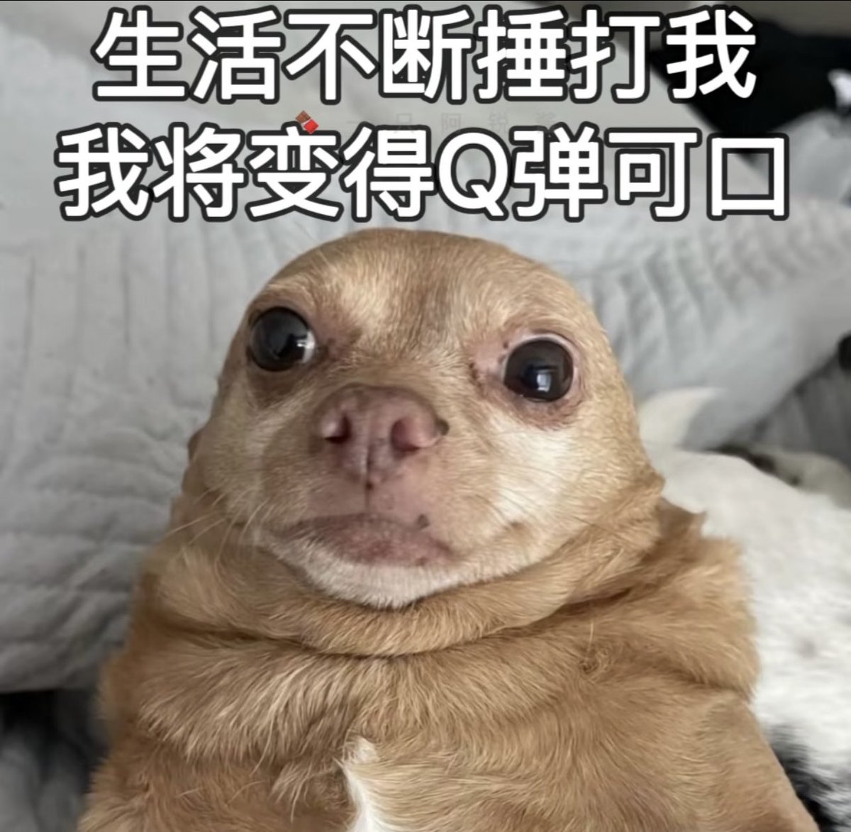 和家里人吵架，一怒之下连夜收拾衣服，搬出来一个人住了。我好没用，没独居过太不习惯了，崩溃哭了4天，今天终于没流泪了。md，也是成长了。