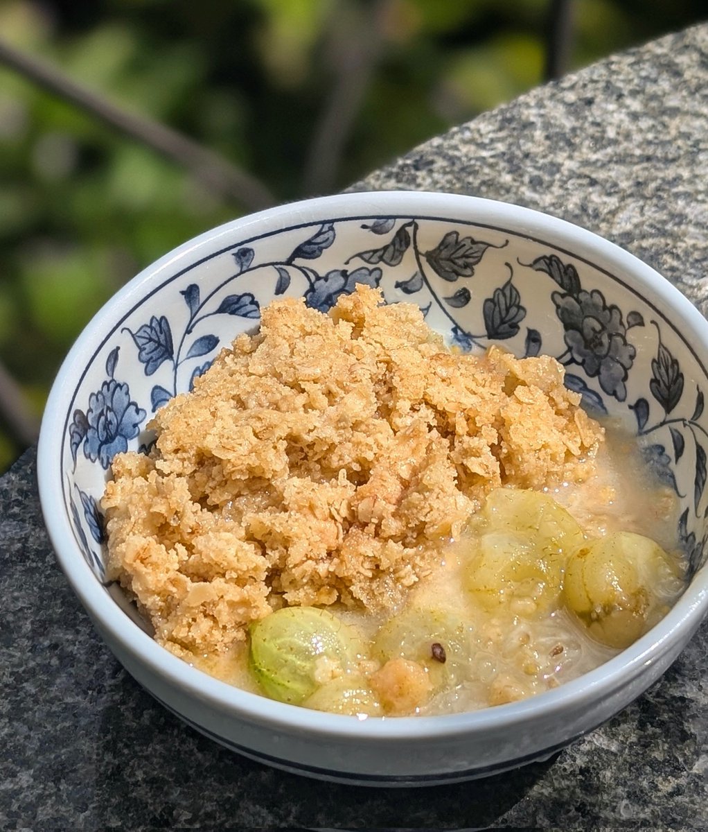 Homemade gooseberry crumble. Love all those buttery juices that collect at the bottom. Bring on the cream! 🥣