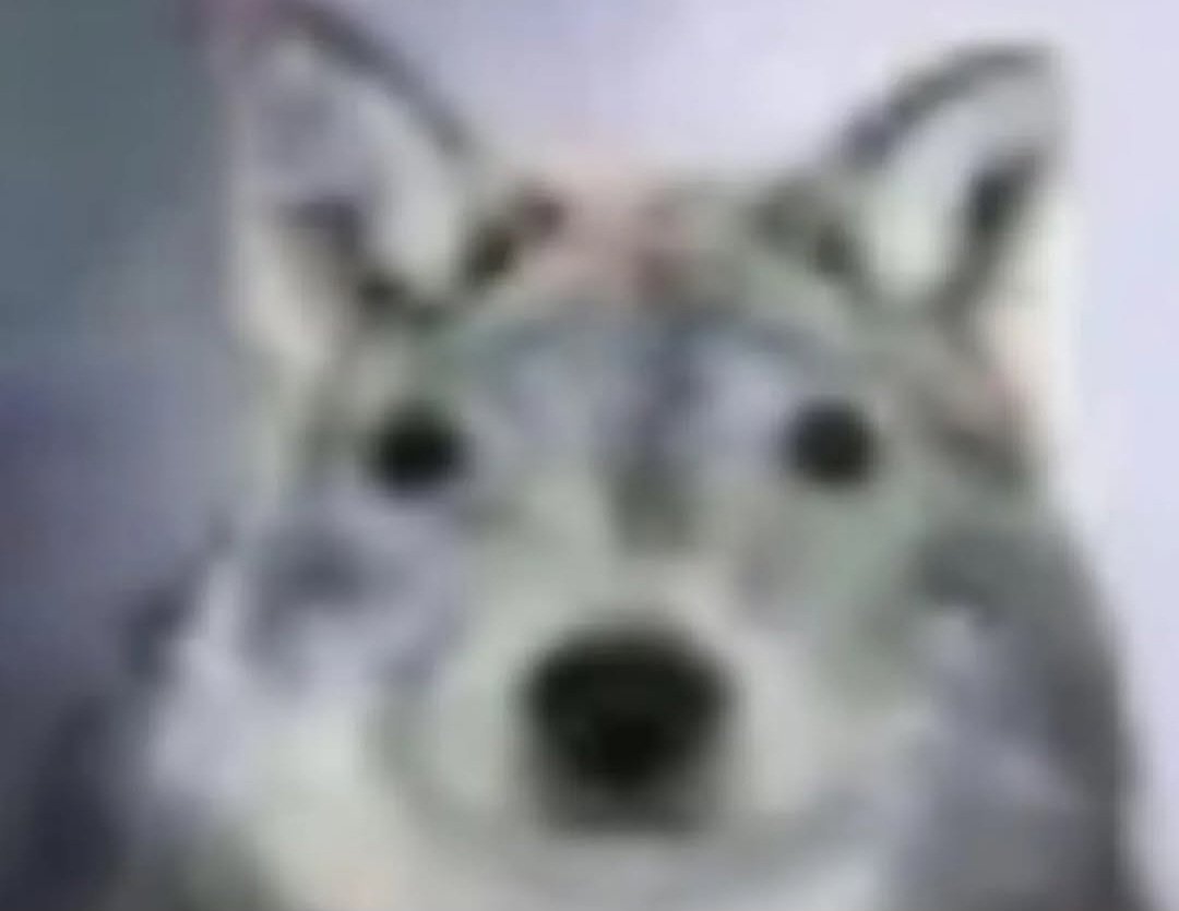 MauroDraws's tweet image. Blink blink