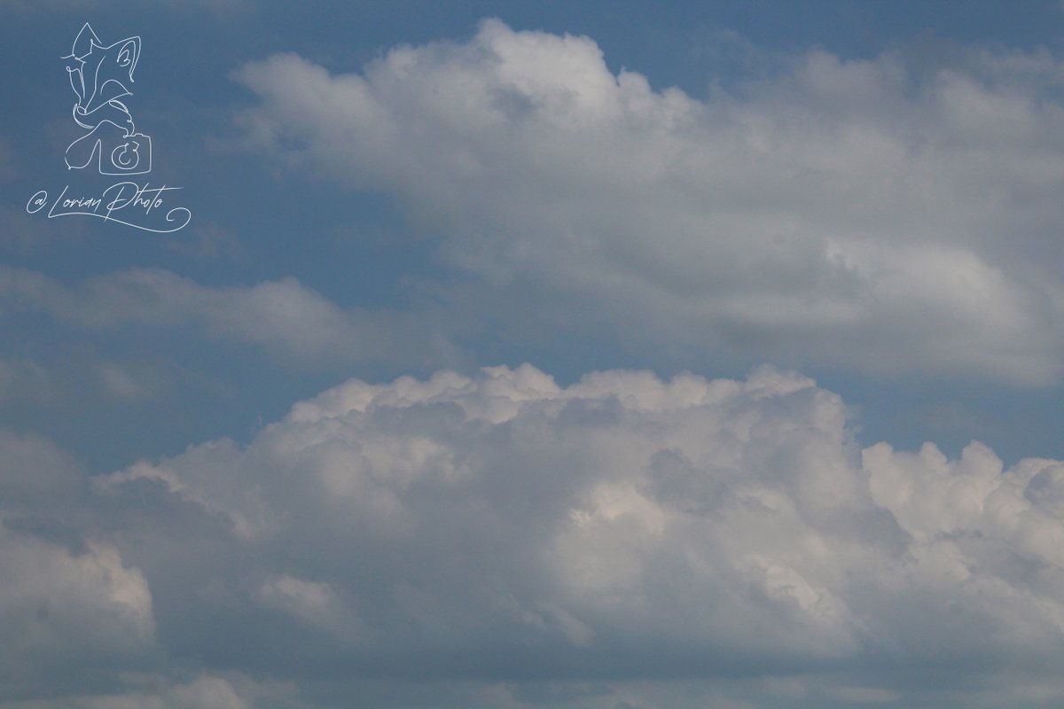 LorianPhoto's tweet photo. 21 Juin 2024
#paysage #landscape #ciell #sky #nuage #cloud #photo #photographie #photography #appareilphoto #camera #reflex #dslr #sansretouche #pasderetouche #noretouching #nopostproduction https://t.co/PhCwqBh4qX