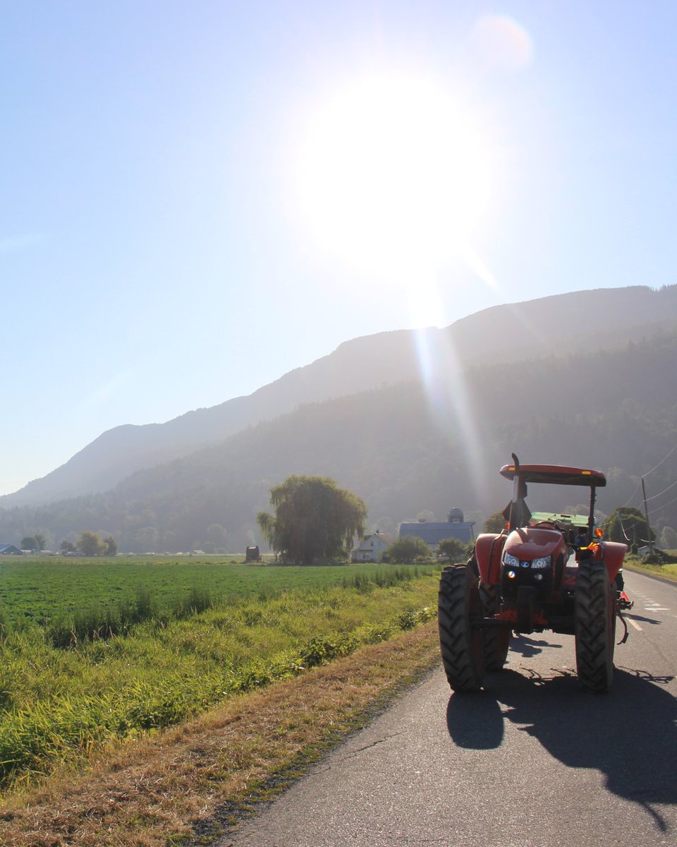 On July 17, a tractor was rear-ended in Sumas Prairie. Thankfully, injuries were minor. The driver at fault was fined $983. As a proud farming community, Abbotsford reminds everyone to respect slow-moving farm vehicles and always share the road. #RoadSafetyMatters #Abbotsford